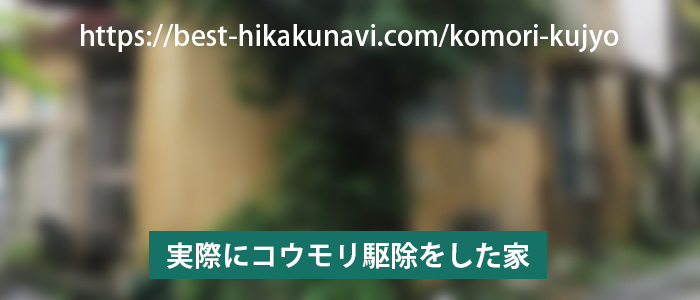 コウモリ駆除